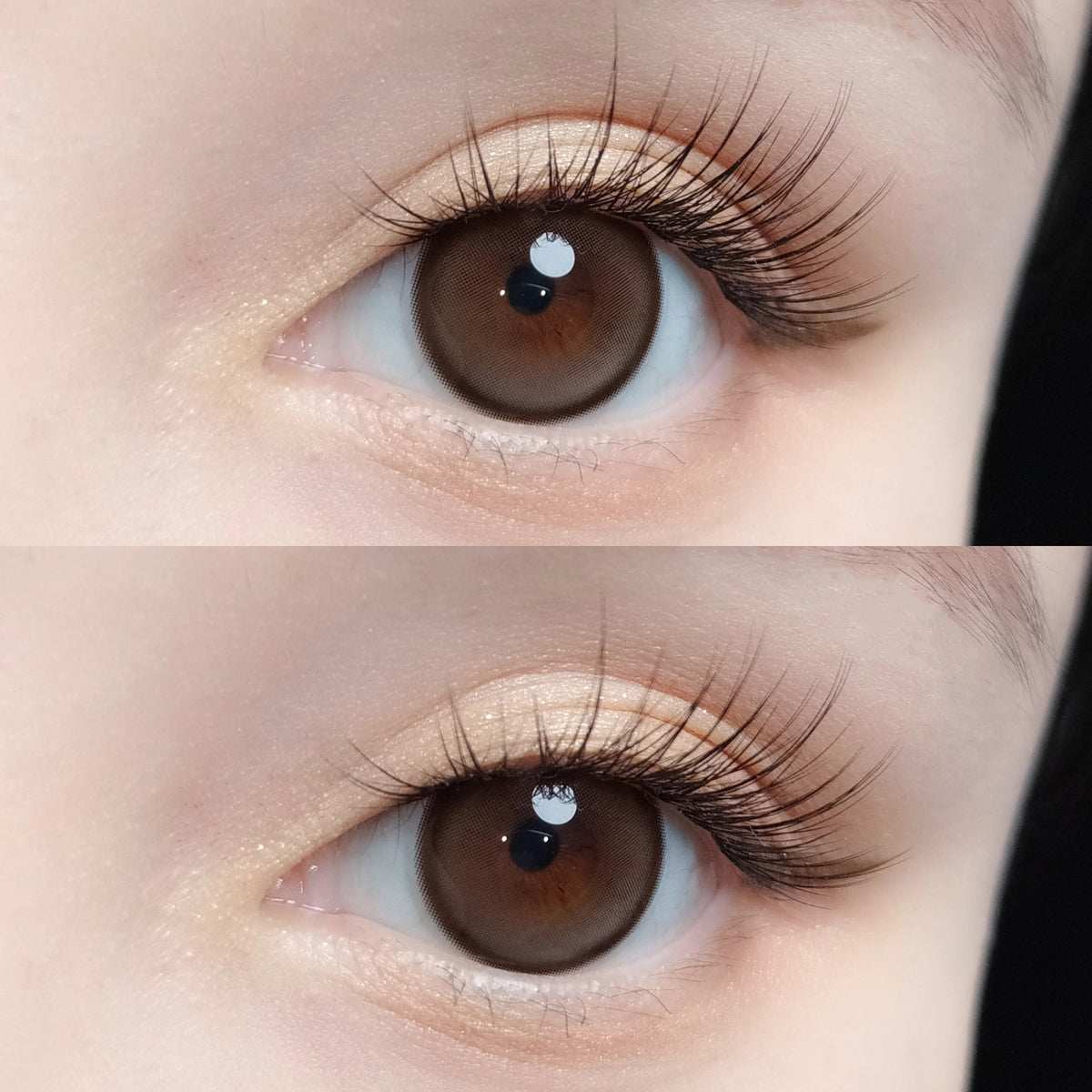 IM OLOLA Toffee Choco (2 lenses/pack)-Colored Contacts-UNIQSO