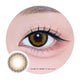 Kazzue Toric Perfect Brown (1 lens/pack)-Colored Contacts-UNIQSO