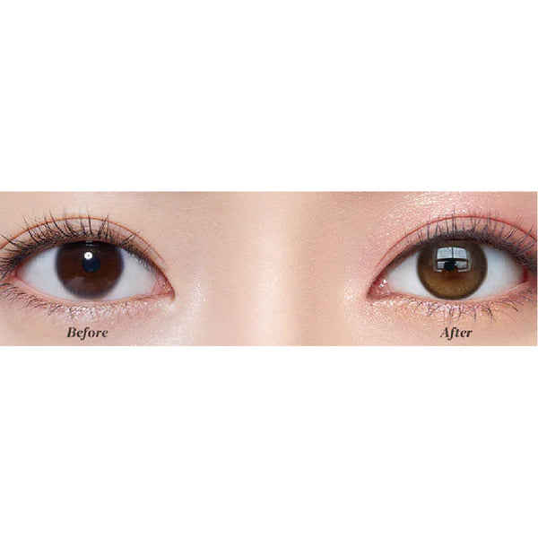 Kazzue Toric Contour Brown (1 lens/pack)-Colored Contacts-UNIQSO