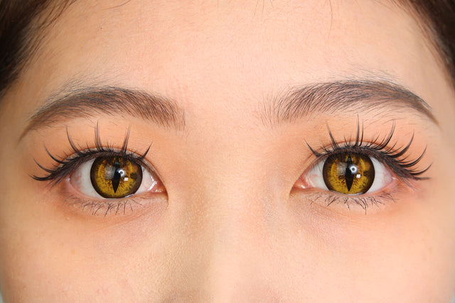 Sweety Crazy Gold Demon Eye / Cat Eye (New) (1 lens/pack)-Crazy Contacts-UNIQSO