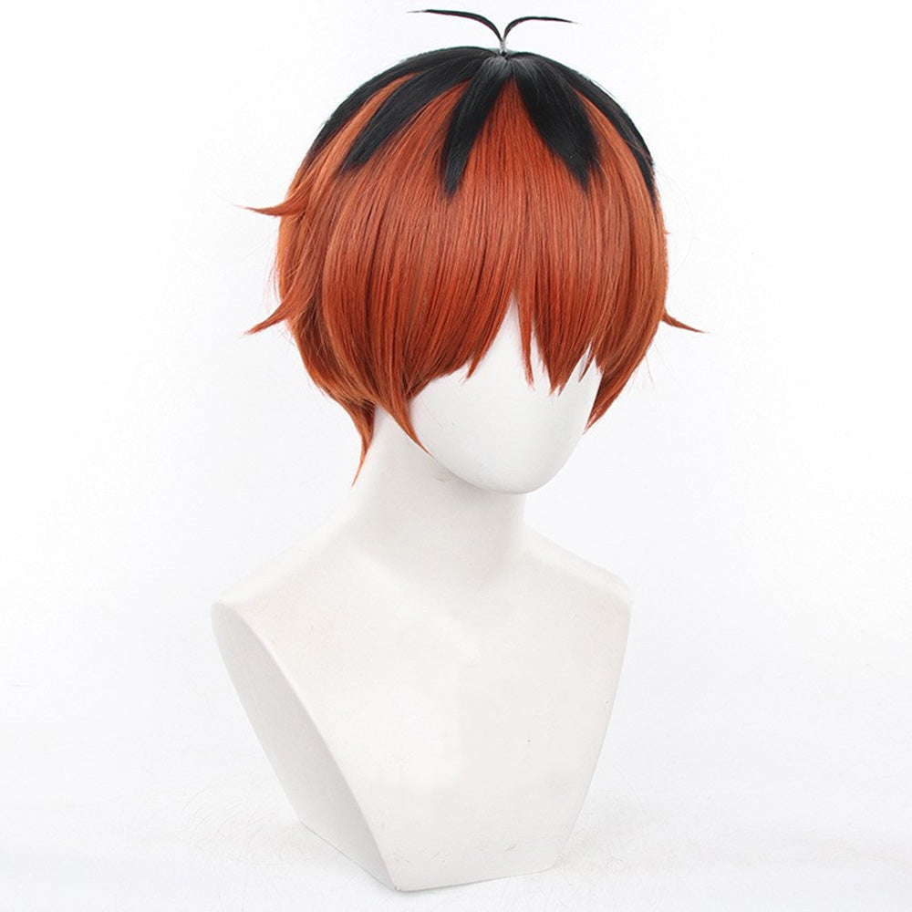 Cosplay Wig - CS 529D-Cosplay Wig-UNIQSO