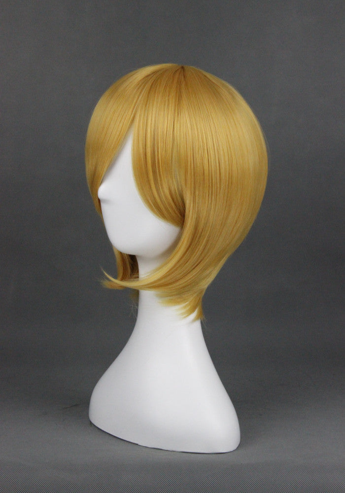 Cosplay Wig - cs 075G-Cosplay Wig-UNIQSO