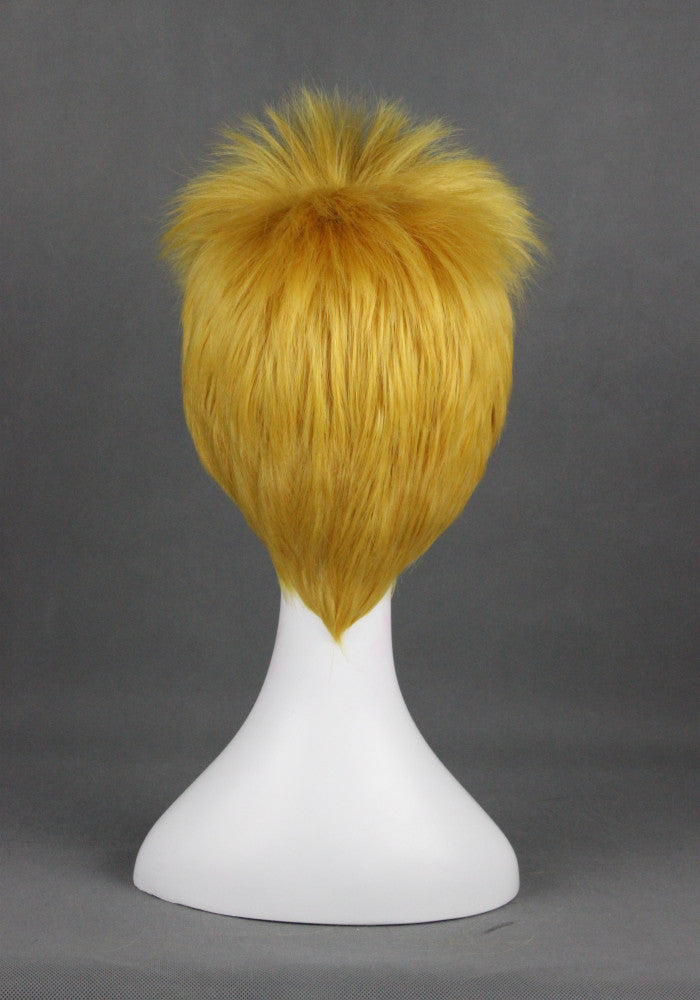 Cosplay Wig - cs 121A-Cosplay Wig-UNIQSO