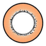 I.Fairy Moonlite Brown (1 lens/pack)-Colored Contacts-UNIQSO