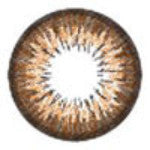 ICK Garnet Brown (1 lens/pack)-Colored Contacts-UNIQSO