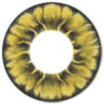 I.Fairy Tofi Gold (1 lens/pack)-Colored Contacts-UNIQSO