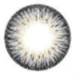 Sweety Colors Of The Wind No 48 Silver Grey (1 lens/pack)-Colored Contacts-UNIQSO