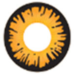 Sweety Crazy Twilight Bella (1 lens/pack)-Crazy Contacts-UNIQSO