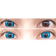 Kazzue Twilight Blue (1 lens/pack)-Colored Contacts-UNIQSO