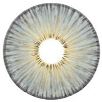 Urban Layer New York Grey (1 lens/pack)-Colored Contacts-UNIQSO