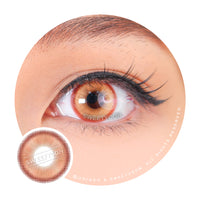 1 Day Sweety Star Tears Brown (2 or 10 lenses/pack)-Colored Contacts-UNIQSO