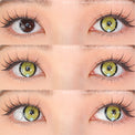 Sweety x Eyesinger Neon Eclipse Yellow (2 lenses/pack)-Colored Contacts-UNIQSO