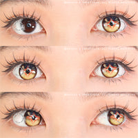 Sweety x Eyesinger Amber Star Crest (2 lenses/pack)-Colored Contacts-UNIQSO