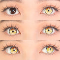 Sweety x Eyesinger Golden Starburst (2 lenses/pack)-Colored Contacts-UNIQSO