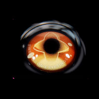 Sweety x Eyesinger Golden Eclipse (2 lenses/pack)-Colored Contacts-UNIQSO