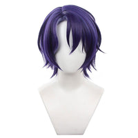 Cosplay Wig - CS 541B-Cosplay Wig-UNIQSO