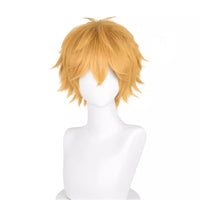 Cosplay Wig - CS 622D-Cosplay Wig-UNIQSO