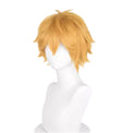 Cosplay Wig - CS 622D-Cosplay Wig-UNIQSO