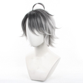 Cosplay Wig - CS 625C-Cosplay Wig-UNIQSO