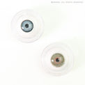 Urban Layer Berkeley Hazel (1 lens/pack)-Colored Contacts-UNIQSO