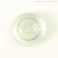 Urban Layer Hockney Emerald (1 lens/pack)-Colored Contacts-UNIQSO