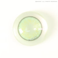 Urban Layer Orlando N Emerald (1 lens/pack)-Colored Contacts-UNIQSO