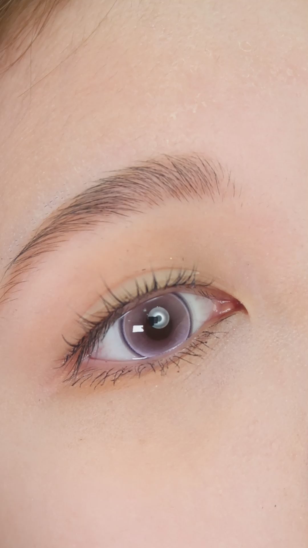 Sweety Jello Violet (1 lens/pack)