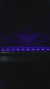 Sweety Crazy UV Glow Red (1 lens/pack)