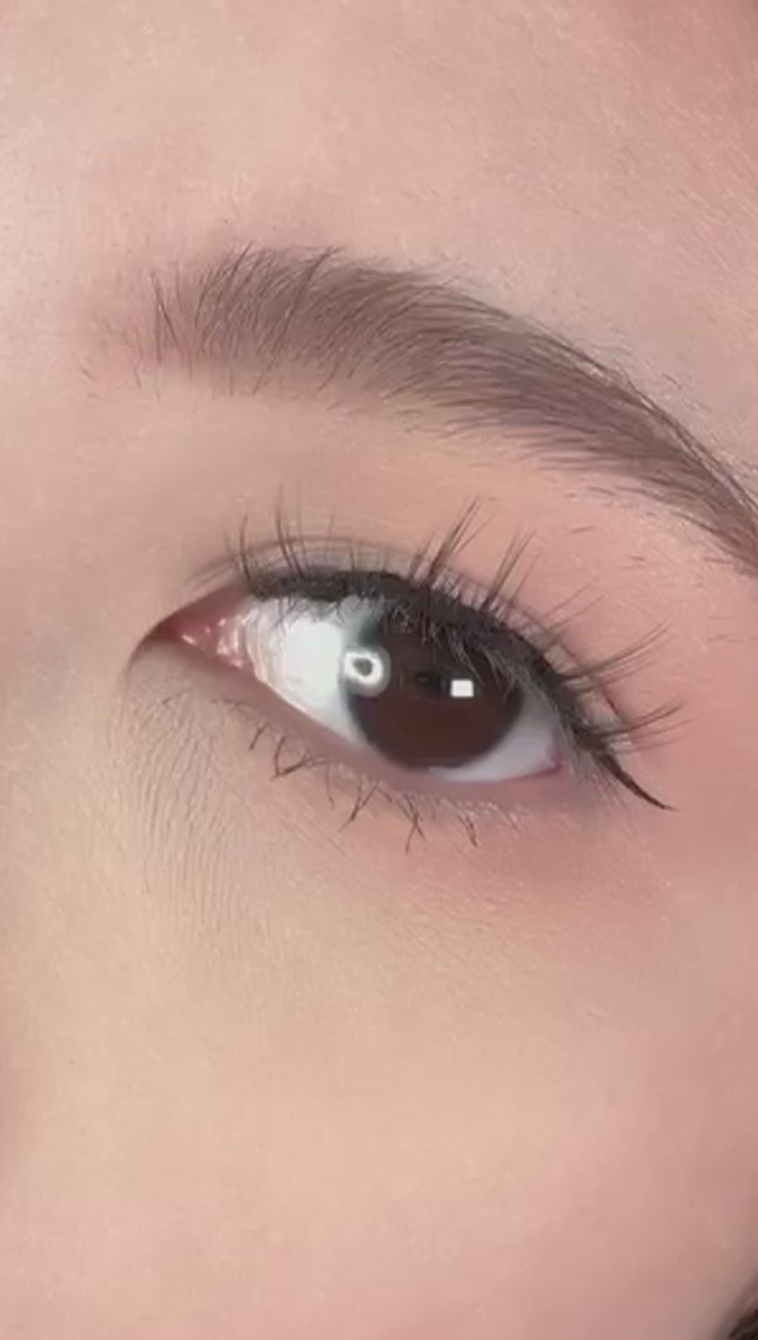 Upper Lash - Fluffy Little Devil