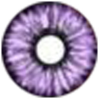 Sweety Violet Sclera Contacts - Elf Purple (1 lens/pack)
