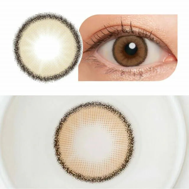 Kazzue Toric Wonder Brown (1 lens/pack)