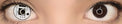 Sweety Crazy Digital Circuit (1 lens/pack)-Crazy Contacts-UNIQSO