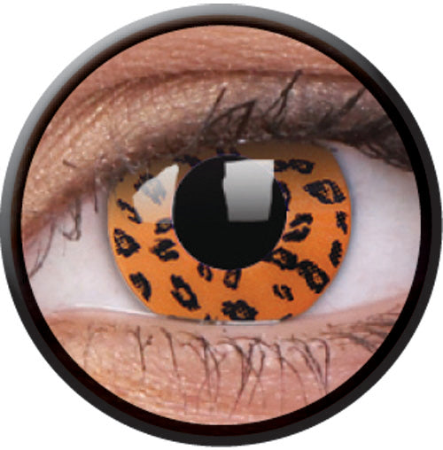 Colorvue Crazy Yellow Leopard (2 lenses/pack)-Crazy Contacts-UNIQSO