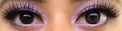 Colorvue 3 tones Brown (2 lenses/pack)-Colored Contacts-UNIQSO