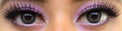 Colorvue 3 tones Grey (2 lenses/pack)-Colored Contacts-UNIQSO