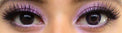 Colorvue 3 tones Violet (2 lenses/pack)-Colored Contacts-UNIQSO