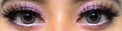 Colorvue Cheerful Carbon Grey (2 lenses/pack)-Colored Contacts-UNIQSO
