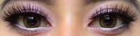 Colorvue Cheerful Woody Brown (2 lenses/pack)-Colored Contacts-UNIQSO