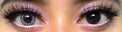 Colorvue Cheerful Creamy White (2 lenses/pack)-Colored Contacts-UNIQSO