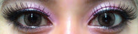 Colorvue Fizzy Lushy Brown (2 lenses/pack)-Colored Contacts-UNIQSO