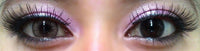 Colorvue Lumina Shining Brown (2 lenses/pack)-Colored Contacts-UNIQSO