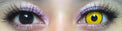 Coscon Crazy with Power - Mad Hatter (1 lens/pack)-Crazy Contacts-UNIQSO