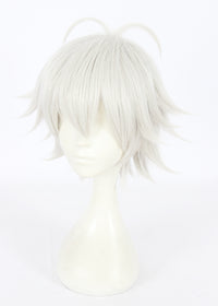 Cosplay Wig - CS 383D-Cosplay Wig-UNIQSO