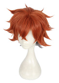 Cosplay Wig - CS 438A-Cosplay Wig-UNIQSO