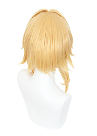 Cosplay Wig - CS 455H-Cosplay Wig-UNIQSO
