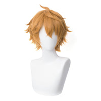 Cosplay Wig - CS 455R-Cosplay Wig-UNIQSO
