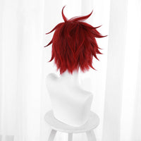 Cosplay Wig - CS 463A-Cosplay Wig-UNIQSO
