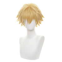 Cosplay Wig - CS 465C-Cosplay Wig-UNIQSO