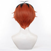 Cosplay Wig - CS 529D-Cosplay Wig-UNIQSO