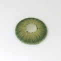 Sweety Magnificent Amazonia Green (1 lens/pack)-Colored Contacts-UNIQSO